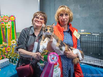 �������� ����� 19-20 �������� 2020 ���������� 8-152-0027.jpg