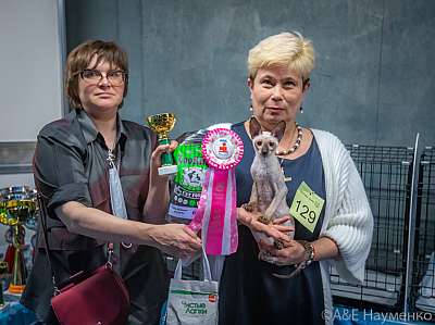 �������� ����� 19-20 �������� 2020 ���������� 9-129-0022.jpg