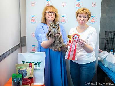 �������� ����� 19-20 �������� 2020 ���������� 3-79-0339.jpg