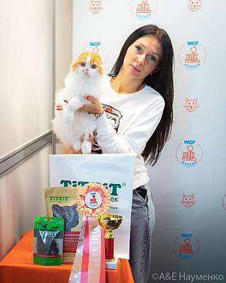 �������� ����� 19-20 �������� 2020 ���������� 4-171-0335.jpg