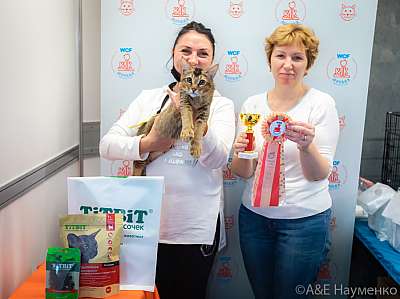 �������� ����� 19-20 �������� 2020 ���������� 6-126-.jpg