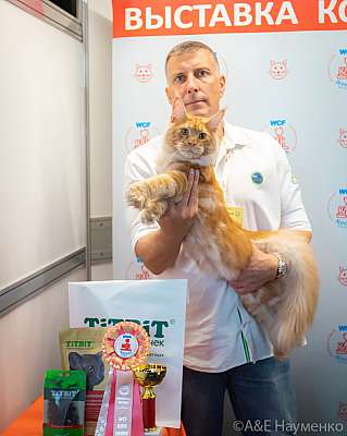 �������� ����� 19-20 �������� 2020 ���������� 7-17-0334.jpg