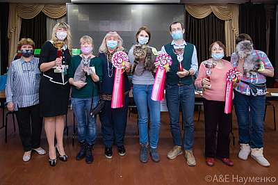 �������� ����� 19-20.12.2020 ���������� �������� ����� 19-20.12.2020 ����������  0-0221.jpg