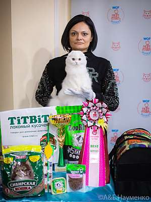 �������� ����� 19-20.12.2020 ���������� 10-52-0184.jpg