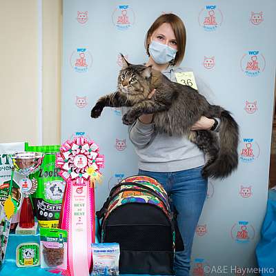 �������� ����� 19-20.12.2020 ���������� �������� ����� 19-20.12.2020 ���������� 2-36-0226.jpg