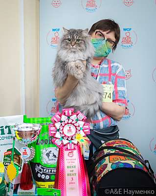 �������� ����� 19-20.12.2020 ���������� 3-174-0224.jpg