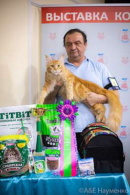 �������� ����� 19-20.12.2020 ���������� 5-8-0208.jpg