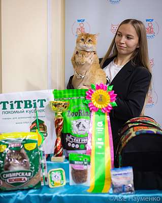 �������� ����� 19-20.12.2020 ���������� 9-93-0198.jpg