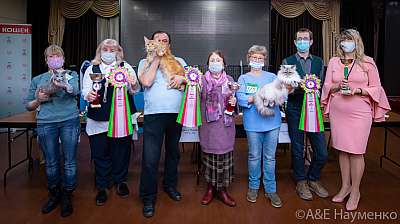 �������� ����� 19-20.12.2020 ���������� 0-0405.jpg