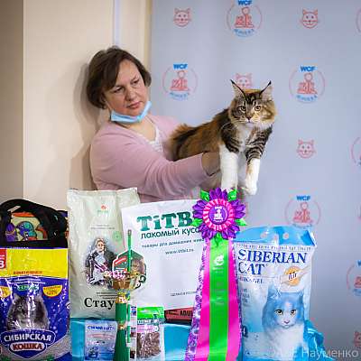 �������� ����� 19-20.12.2020 ���������� 10-17-0364.jpg