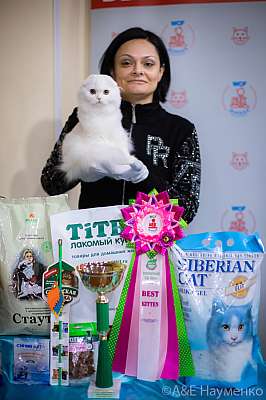 �������� ����� 19-20.12.2020 ���������� 12-52-0359.jpg