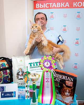 �������� ����� 19-20.12.2020 ���������� 3-8-0407.jpg