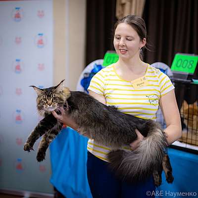 �������� ����� 19-20.12.2020 ���������� 6-36-0293.jpg