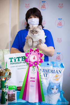 �������� ����� 19-20.12.2020 ���������� 8-61-0367.jpg