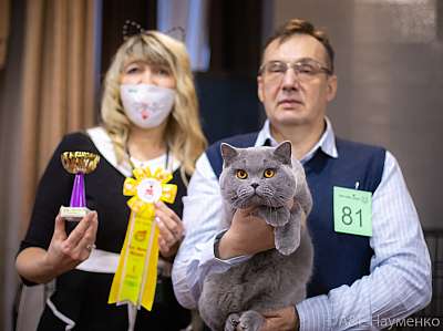 �������� ����� 19-20.12.2020 ���������� 1-81-0152.jpg