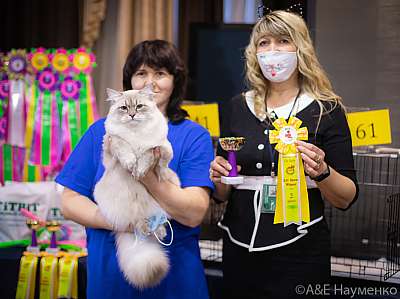 �������� ����� 19-20.12.2020 ���������� 2-61-0149.jpg