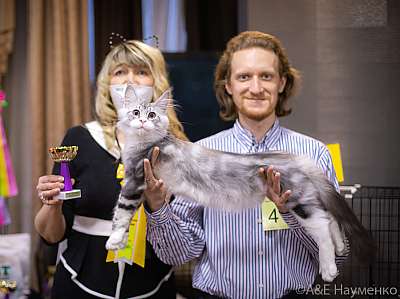 �������� ����� 19-20.12.2020 ���������� 3-41-0151.jpg