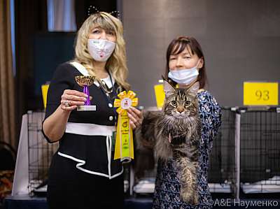 �������� ����� 19-20.12.2020 ���������� 4-33-0154.jpg