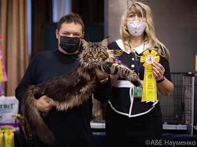 �������� ����� 19-20.12.2020 ���������� 6-182-0155.jpg