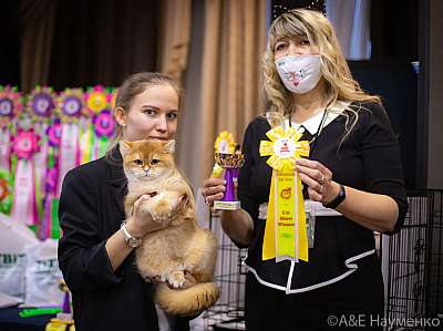 �������� ����� 19-20.12.2020 ���������� 7-93-0150.jpg