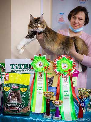 �������� ����� 19-20.12.2020 ���������� 1-17-0296.jpg