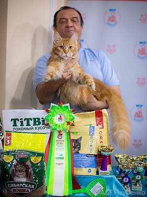 �������� ����� 19-20.12.2020 ���������� 2-8-0294.jpg