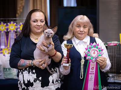 �������� ����� 19-20.12.2020 ���������� 1-118-0334.jpg