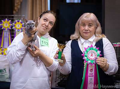 �������� ����� 19-20.12.2020 ���������� 10-113-0336.jpg