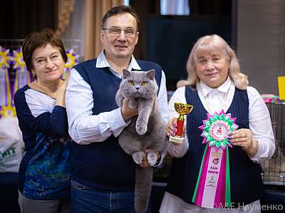 �������� ����� 19-20.12.2020 ���������� 2-81-0335.jpg