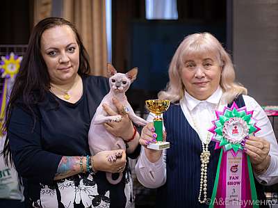 �������� ����� 19-20.12.2020 ���������� 3-116-0338.jpg