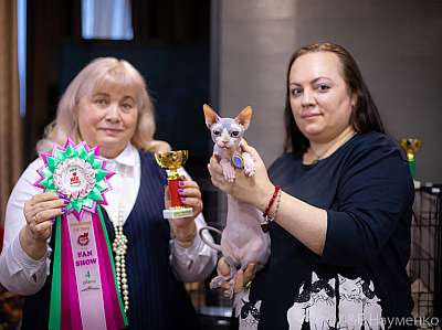 �������� ����� 19-20.12.2020 ���������� 4-122-0343.jpg