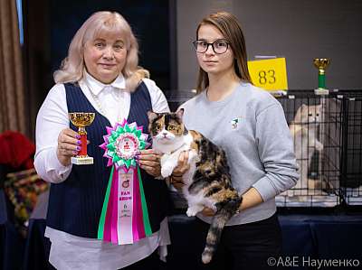 �������� ����� 19-20.12.2020 ���������� 6-143-0342.jpg