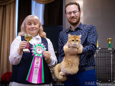 �������� ����� 19-20.12.2020 ���������� 8-93-0341.jpg