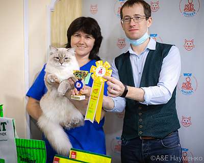 �������� ����� 19-20.12.2020 ���������� 1-61-0102.jpg