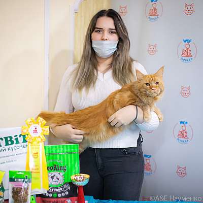 �������� ����� 19-20.12.2020 ���������� 10-5-0113.jpg