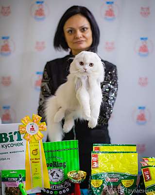 �������� ����� 19-20.12.2020 ���������� 2-52-0096.jpg