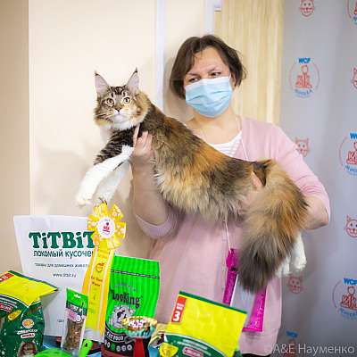 �������� ����� 19-20.12.2020 ���������� 4-17-0111.jpg