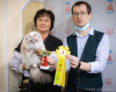 �������� ����� 19-20.12.2020 ���������� 5-59-0103.jpg