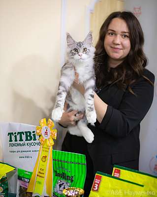 �������� ����� 19-20.12.2020 ���������� 6-41-0104.jpg