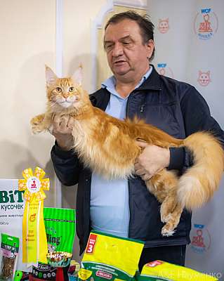 �������� ����� 19-20.12.2020 ���������� 7-8-0110.jpg