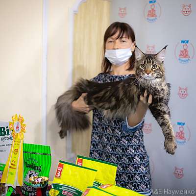 �������� ����� 19-20.12.2020 ���������� 9-33-0106.jpg