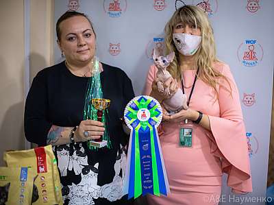 �������� ����� 19-20.12.2020 ���������� 1-114-0353.jpg