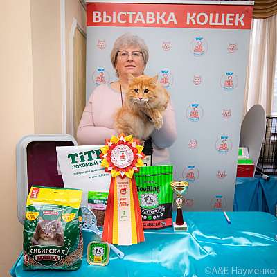 �������� ����� 19-20.12.2020 ���������� 2-53-0066.jpg