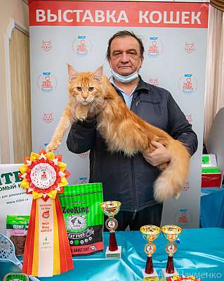 �������� ����� 19-20.12.2020 ���������� 4-8-0063.jpg