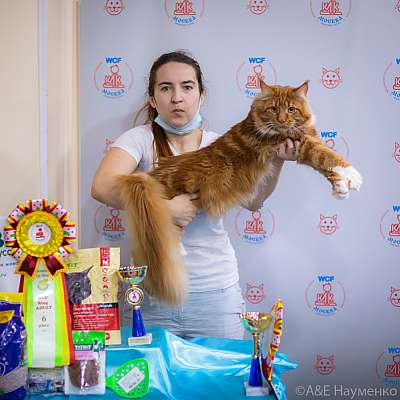 �������� ����� 19-20.12.2020 ���������� 0252.jpg