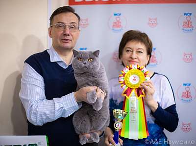 �������� ����� 19-20.12.2020 ���������� 0253.jpg