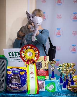 �������� ����� 19-20.12.2020 ���������� 1-127-0237.jpg