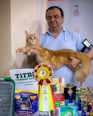 �������� ����� 19-20.12.2020 ���������� 2-8-0239.jpg