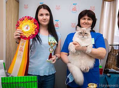 �������� ����� 19-20.12.2020 ���������� 1-61-0038.jpg