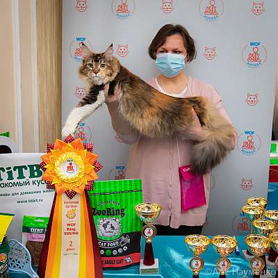 �������� ����� 19-20.12.2020 ���������� 2-17-0040.jpg